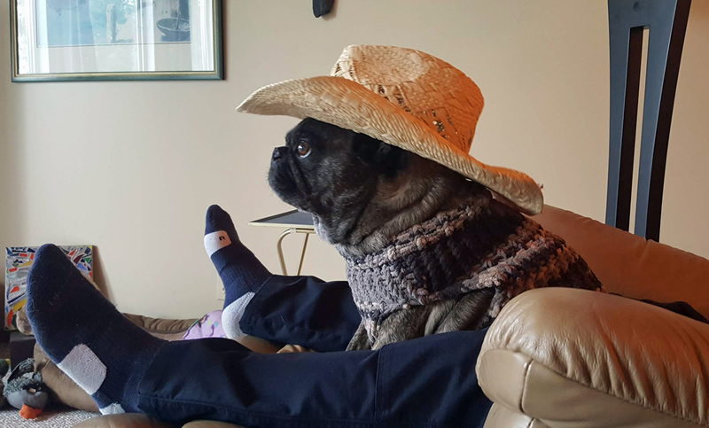 Ripley by Jennifer Workman